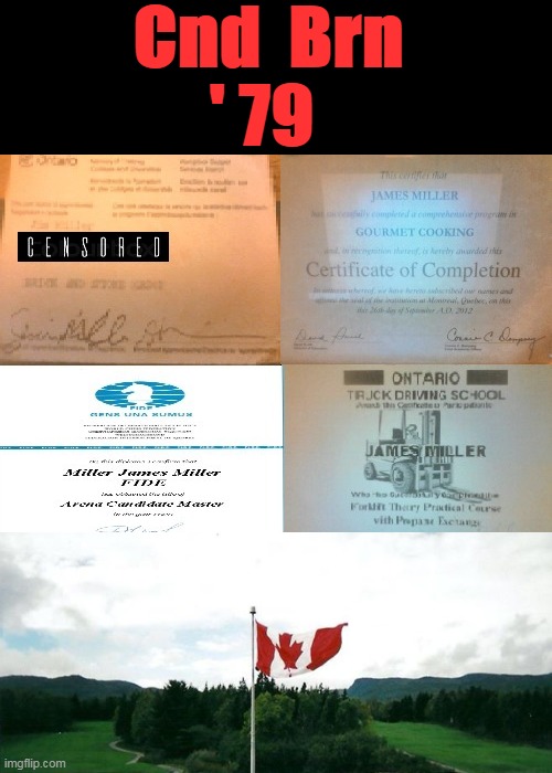 Cnd Brn 79 | Cnd  Brn
    ' 79 | image tagged in certified,canadian | made w/ Imgflip meme maker