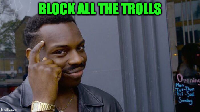 Roll Safe Think About It Meme | BLOCK ALL THE TROLLS | image tagged in memes,roll safe think about it | made w/ Imgflip meme maker