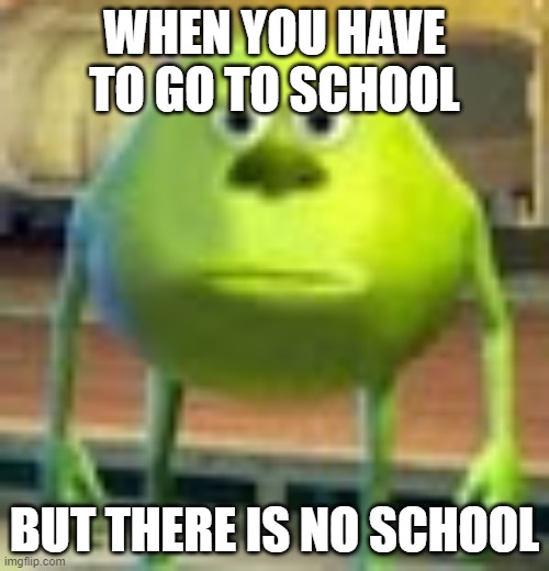 school | WHEN YOU HAVE TO GO TO SCHOOL; BUT THERE IS NO SCHOOL | image tagged in sully wazowski | made w/ Imgflip meme maker