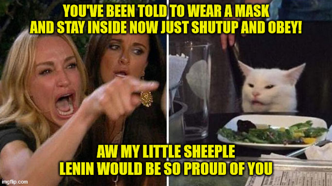 obey your governor | YOU'VE BEEN TOLD TO WEAR A MASK AND STAY INSIDE NOW JUST SHUTUP AND OBEY! AW MY LITTLE SHEEPLE LENIN WOULD BE SO PROUD OF YOU | image tagged in angry lady cat | made w/ Imgflip meme maker