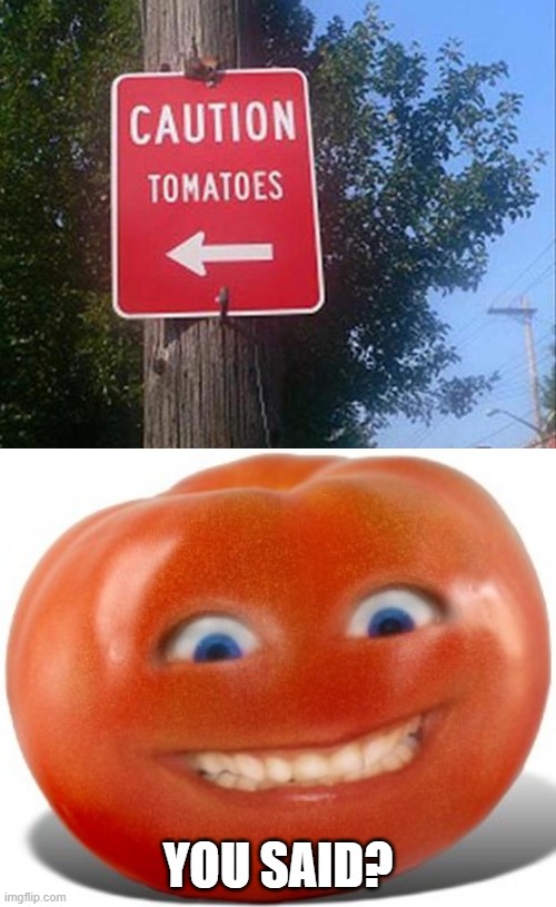 tomato | YOU SAID? | image tagged in tomato | made w/ Imgflip meme maker