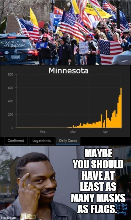 Think about it | MAYBE YOU SHOULD HAVE AT LEAST AS MANY MASKS AS FLAGS. | image tagged in memes,roll safe think about it,liberate minnesota | made w/ Imgflip meme maker