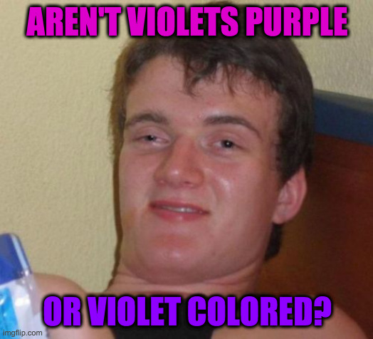 10 Guy Meme | AREN'T VIOLETS PURPLE OR VIOLET COLORED? | image tagged in memes,10 guy | made w/ Imgflip meme maker