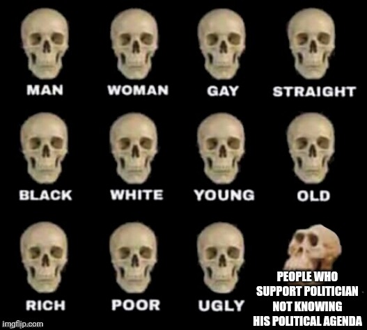 Idiot | PEOPLE WHO SUPPORT POLITICIAN NOT KNOWING HIS POLITICAL AGENDA | image tagged in idiot skull | made w/ Imgflip meme maker