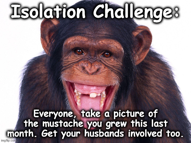 monkey | Isolation Challenge:; Everyone, take a picture of the mustache you grew this last month. Get your husbands involved too. | image tagged in monkey | made w/ Imgflip meme maker
