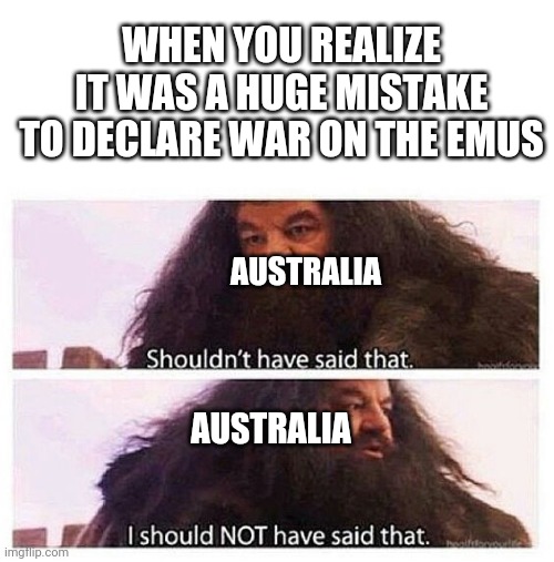 Great emu war | WHEN YOU REALIZE IT WAS A HUGE MISTAKE TO DECLARE WAR ON THE EMUS; AUSTRALIA; AUSTRALIA | image tagged in hagrid shouldn't have said that,emu,history,australia,memes | made w/ Imgflip meme maker