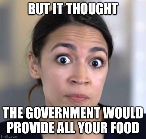 OCASIO CORTEZ | BUT IT THOUGHT THE GOVERNMENT WOULD PROVIDE ALL YOUR FOOD | image tagged in ocasio cortez | made w/ Imgflip meme maker