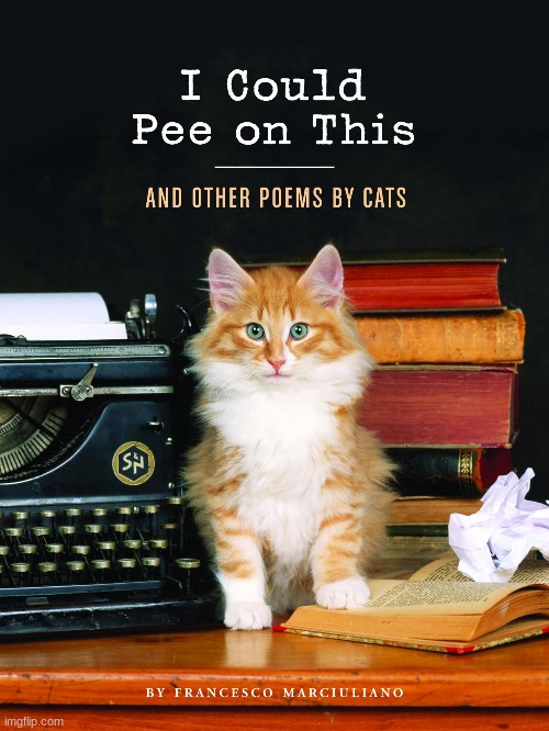 beautiful poems... | image tagged in cats | made w/ Imgflip meme maker