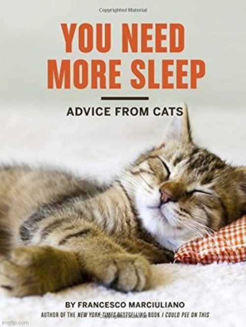 good read... | image tagged in cats | made w/ Imgflip meme maker