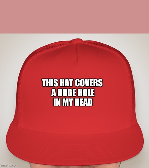 Trump Hat | THIS HAT COVERS 
A HUGE HOLE
IN MY HEAD | image tagged in trump hat | made w/ Imgflip meme maker