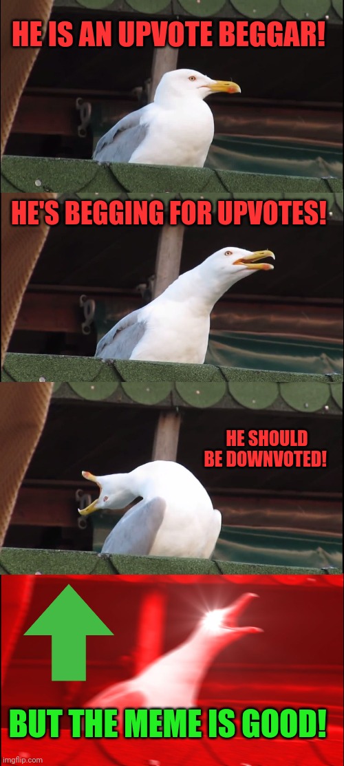 Inhaling Seagull Meme | HE IS AN UPVOTE BEGGAR! HE'S BEGGING FOR UPVOTES! HE SHOULD BE DOWNVOTED! BUT THE MEME IS GOOD! | image tagged in memes,inhaling seagull | made w/ Imgflip meme maker