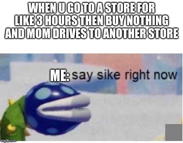this happens ALL THE TIME with me | WHEN U GO TO A STORE FOR LIKE 3 HOURS THEN BUY NOTHING AND MOM DRIVES TO ANOTHER STORE; ME: | image tagged in say sike right now | made w/ Imgflip meme maker