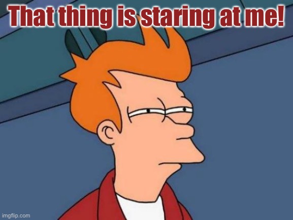 Futurama Fry Meme | That thing is staring at me! | image tagged in memes,futurama fry | made w/ Imgflip meme maker