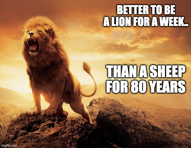 Lion Roars | BETTER TO BE A LION FOR A WEEK.. THAN A SHEEP FOR 80 YEARS | image tagged in philosophy | made w/ Imgflip meme maker