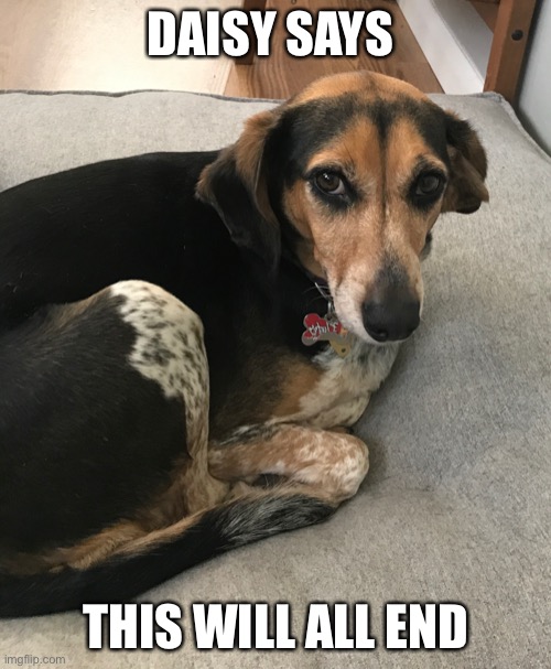 This is daisy | DAISY SAYS; THIS WILL ALL END | image tagged in this is daisy | made w/ Imgflip meme maker