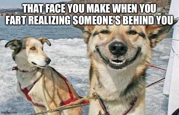 Original Stoner Dog Meme | THAT FACE YOU MAKE WHEN YOU FART REALIZING SOMEONE'S BEHIND YOU | image tagged in memes,original stoner dog | made w/ Imgflip meme maker