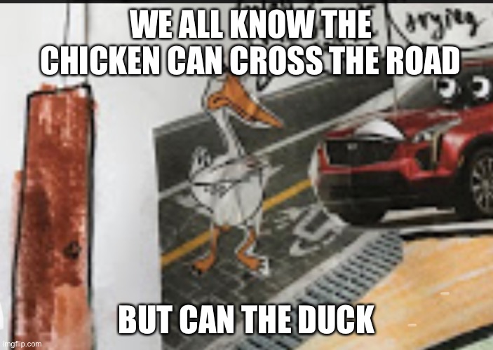 But can the duck | WE ALL KNOW THE CHICKEN CAN CROSS THE ROAD; BUT CAN THE DUCK | image tagged in duck,cars | made w/ Imgflip meme maker