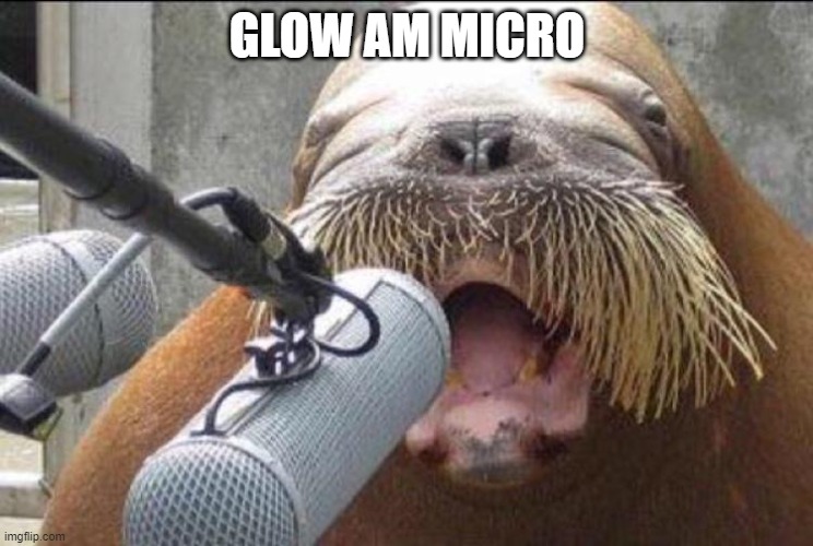 GLOW AM MICRO | image tagged in walrus at microphone | made w/ Imgflip meme maker
