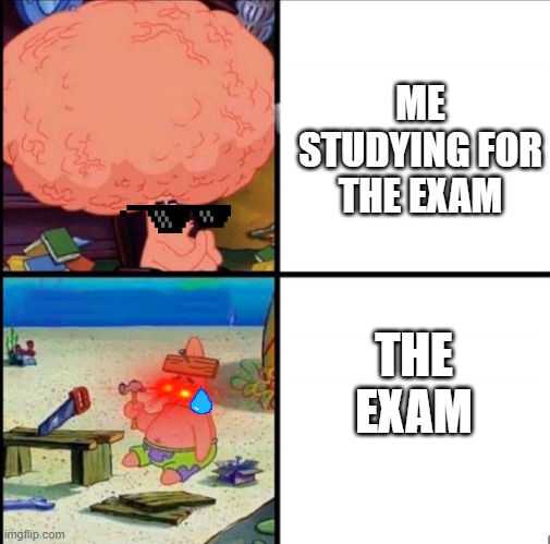 exams: | ME STUDYING FOR THE EXAM; THE EXAM | image tagged in patrick big brain | made w/ Imgflip meme maker