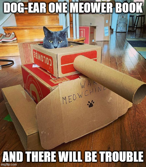 library cat tank | DOG-EAR ONE MEOWER BOOK; AND THERE WILL BE TROUBLE | image tagged in library,cat,tank,books | made w/ Imgflip meme maker