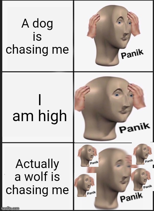 Hi | A dog is chasing me; I am high; Actually a wolf is chasing me | image tagged in memes,panik kalm panik | made w/ Imgflip meme maker