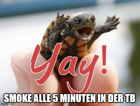 Yay! | SMOKE ALLE 5 MINUTEN IN DER TB | image tagged in yay | made w/ Imgflip meme maker