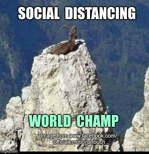 Social Distancing -- World Champ! | SOCIAL  DISTANCING; WORLD  CHAMP | image tagged in sick_covid stream,social distancing,covid-19,rick75230 | made w/ Imgflip meme maker