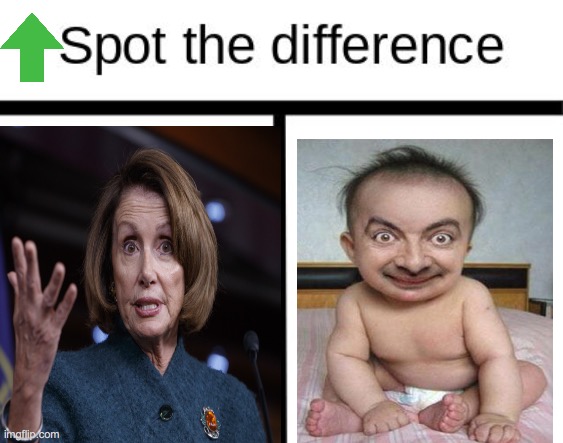 image tagged in nancy pelosi | made w/ Imgflip meme maker