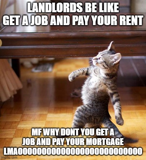 easy solution for landlords struggling to meet payments | LANDLORDS BE LIKE GET A JOB AND PAY YOUR RENT; MF WHY DONT YOU GET A JOB AND PAY YOUR MORTGAGE LMAOOOOOOOOOOOOOOOOOOOOOOOOOO | image tagged in strutting kitten,based cat,stay winning | made w/ Imgflip meme maker