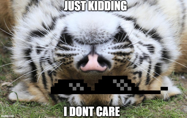 jk bitchhh | JUST KIDDING; I DONT CARE | image tagged in wyd tiger | made w/ Imgflip meme maker