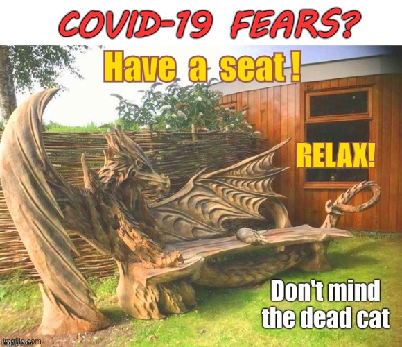 COVID-19 Fears? RELAX! | COVID-19 FEARS? Have a seat! RELAX! Don't mind the dead cat | image tagged in sick_covid stream,dark humor,social distancing,covid-19,rick75230 | made w/ Imgflip meme maker