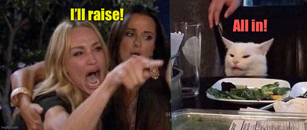 woman yelling at cat | I’ll raise! All in! | image tagged in woman yelling at cat | made w/ Imgflip meme maker