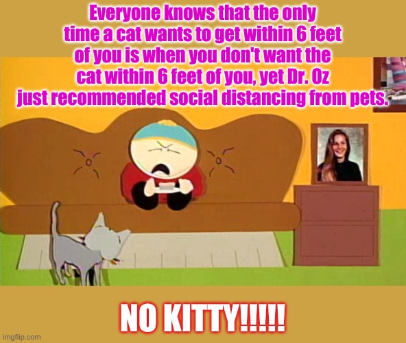 No kitty, southpark | Everyone knows that the only time a cat wants to get within 6 feet of you is when you don't want the cat within 6 feet of you, yet Dr. Oz just recommended social distancing from pets. NO KITTY!!!!! | image tagged in no kitty southpark | made w/ Imgflip meme maker