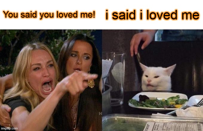 Woman Yelling At Cat | You said you loved me! i said i loved me | image tagged in memes,woman yelling at cat | made w/ Imgflip meme maker