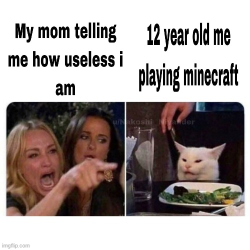 image tagged in woman yelling at cat | made w/ Imgflip meme maker