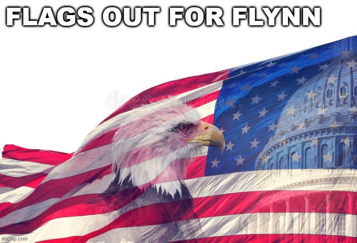 FLAGS OUT FOR FLYNN | FLAGS OUT FOR FLYNN | image tagged in michael flynn | made w/ Imgflip meme maker