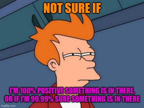 Futurama Fry Meme | NOT SURE IF I'M 100% POSITIVE SOMETHING IS IN THERE, OR IF I'M 99.99% SURE SOMETHING IS IN THERE | image tagged in memes,futurama fry | made w/ Imgflip meme maker