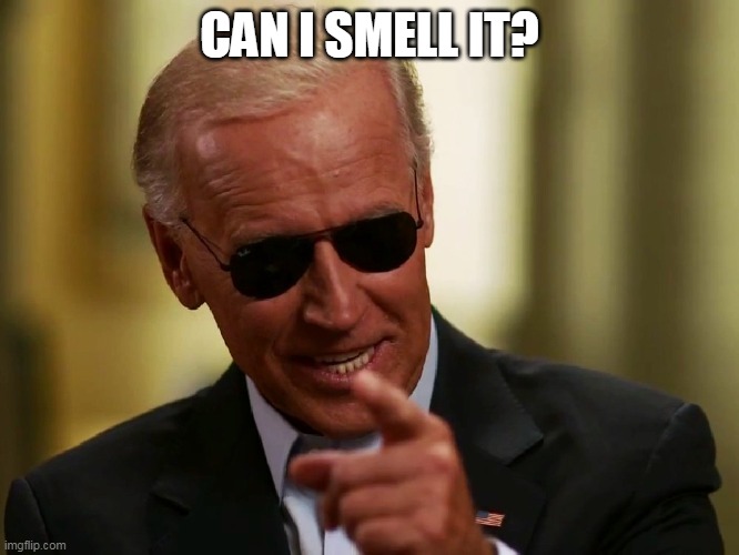 Cool Joe Biden | CAN I SMELL IT? | image tagged in cool joe biden | made w/ Imgflip meme maker