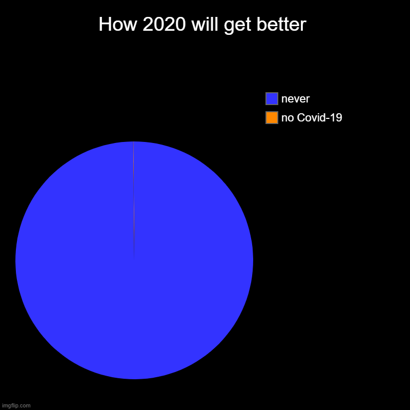 covid-19 | How 2020 will get better | no Covid-19, never | image tagged in charts,pie charts | made w/ Imgflip chart maker