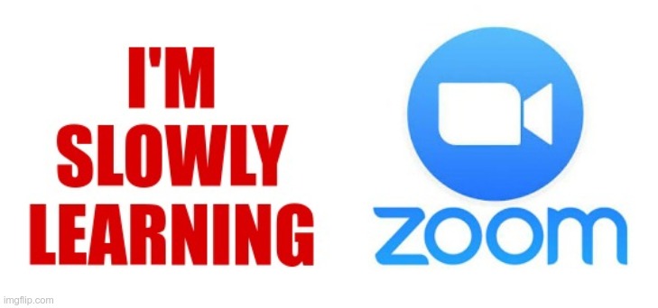 ZOOM! | I'M SLOWLY LEARNING ZOOM | image tagged in sick_covid stream,dark humor,covid-19,rick75230,shelter in place | made w/ Imgflip meme maker