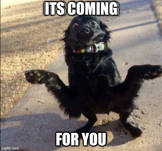 Fear the dog | ITS COMING; FOR YOU | image tagged in dog | made w/ Imgflip meme maker