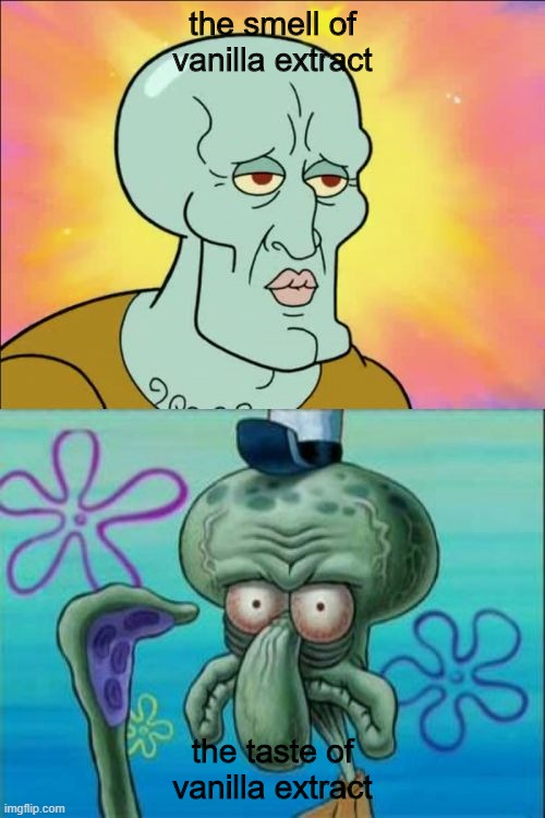 memes | the smell of vanilla extract; the taste of vanilla extract | image tagged in memes,squidward | made w/ Imgflip meme maker