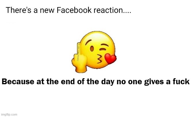 New Facebook I Don't Give A Fuck Emoji | COVELL BELLAMY III; Because at the end of the day no one gives a fuck | image tagged in new facebook i don't give a fuck emoji | made w/ Imgflip meme maker