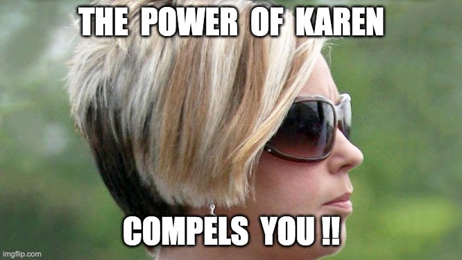 Karen | THE  POWER  OF  KAREN; COMPELS  YOU !! | image tagged in karen | made w/ Imgflip meme maker