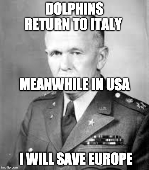 DOLPHINS RETURN TO ITALY; MEANWHILE IN USA; I WILL SAVE EUROPE | image tagged in george marshall  meanwhile in | made w/ Imgflip meme maker