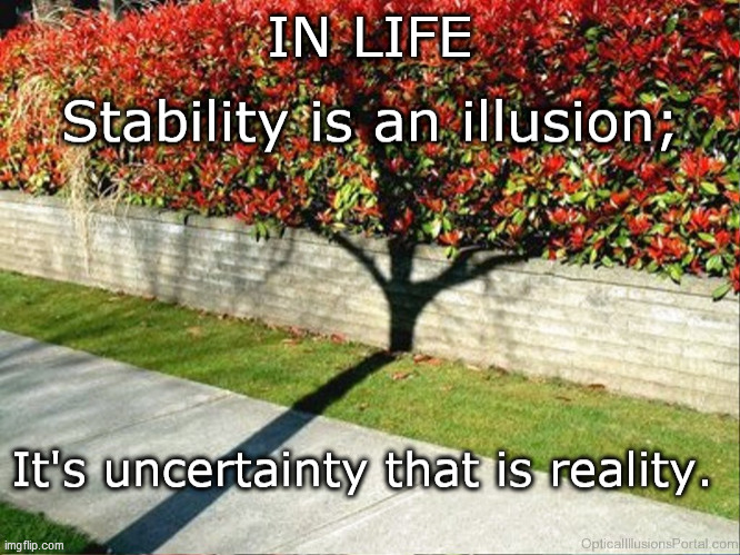 Stability vs reality | IN LIFE | image tagged in expectation vs reality,stability is illusion,uncertainty is reality | made w/ Imgflip meme maker