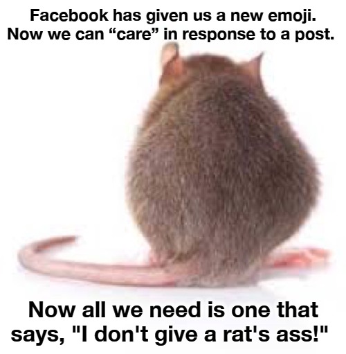Facebook has given us a new emoji. | Facebook has given us a new emoji. Now we can “care” in response to a post. Now all we need is one that says, "I don't give a rat's ass!" | image tagged in rats ass,facebook,emoji,farsebook,fascistbook,media bias | made w/ Imgflip meme maker