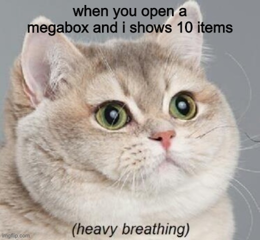 brawl stars | when you open a megabox and i shows 10 items | image tagged in memes,heavy breathing cat | made w/ Imgflip meme maker