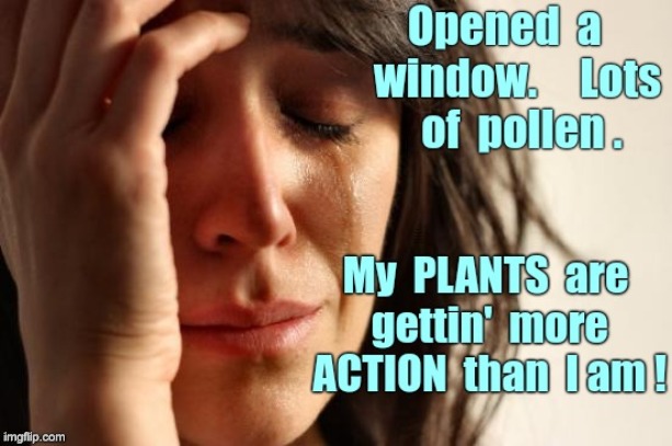 COVID-19 Affecting Your Love Life? | Opened a window. Lots of pollen. My PLANTS are gettin' more ACTION than I am! | image tagged in sick_covid stream,dark humor,covid-19,rick75230,shelter in place | made w/ Imgflip meme maker