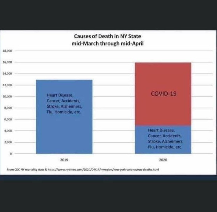 NY covid death scam Blank Meme Template